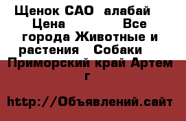 Щенок САО (алабай) › Цена ­ 10 000 - Все города Животные и растения » Собаки   . Приморский край,Артем г.